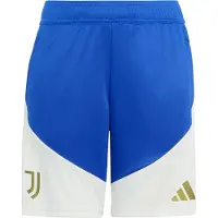 Adidas Juventus 26/27 Koulutus Junior-shortsit