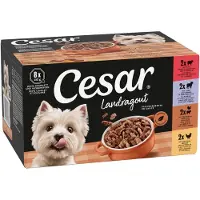 Cesar 96x150g Country Kitchen Favourites -lajitelma kissan mrkäruoka