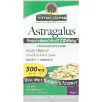 Natures Answer Astragalusjuuri, 500 mg - 60 kasviskapselia