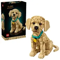 LEGO Icons 11384 Kultaisen noutajan pentu