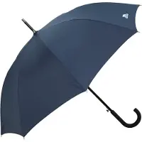 Trespass Rainstorm Umbrella Sininen