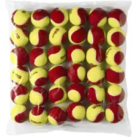 Wilson Starter Tennispalloja 36 Yksiköt