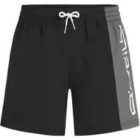 O'Neill Retro 14'' Surffishortsit black out colour block Koko M