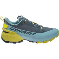 Dynafit Transalper 2 Gore-tex Vaelluskengät