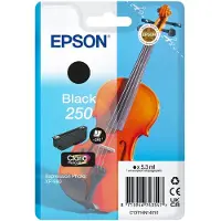 Epson 250 mustekasetti, musta
