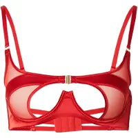 Hunkemoller Vienna Ud - Red - 80 D