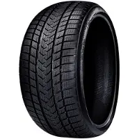 Gripmax Suregrip Pro Winter 315/30R22 107V 3PMSF XL RP