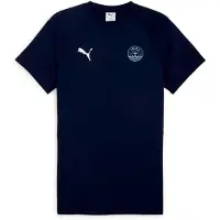 Puma Ud Ibiza Teamevostripe Lyhythihainen T-paita