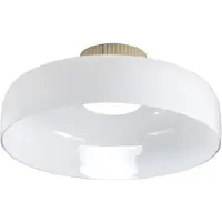 FABAS LUCE Led Lunar, himmennettävä, Valkoinen/opaali, Olohuone/ruokailutila, Lasi, Moderni