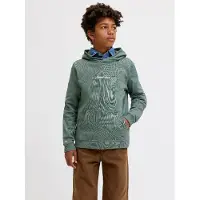 Jack & Jones Jack&Jones Junior Jornorrebro huppari