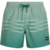 O'Neill First 15'' Surffishortsit green heritage fl fl Koko XL