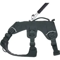 Ruffwear Web Master Koiran Valjaat