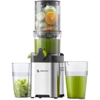 Amzchef CE-ZM1902M-SV Slow Juicer