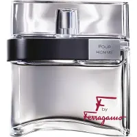Salvatore Ferragamo F by Ferragamo Pour Homme Eau de Toilette 100 ml