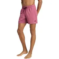 Adidas Irridescent Seersucker 5´´ Uimashortsit