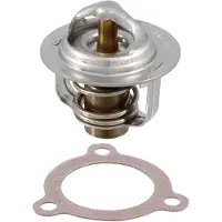 RMS Beauty Piaggio Porter 1.0 100120730 Termostaatti