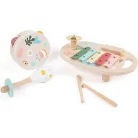 Classic World Wooden Musical Instruments Set Iris