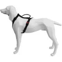 Freedog Extreme Koiran Valjaat