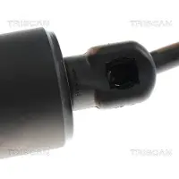 TRISCAN Kaasujousi, tavaratila 8710 24302