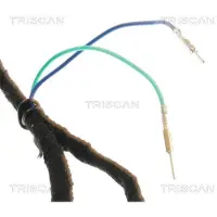TRISCAN Kaasujousi, tavaratila 8710 28302