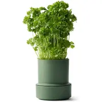 CrushGrind - Billund Itsekasteleva yrttiruukku 14x12 cm Parsley