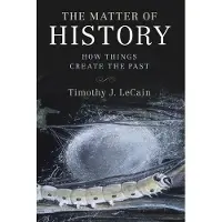 CAMBRIDGE UNIVERSITY PRESS The Matter of History
