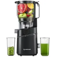 Amzchef SJ-036CBK Slow Juicer