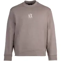 Armani Exchange for man. XM000368AF10818U6107 Beige crew neck sweatshirt (XL), Casual, Sport, Grey, Cotton, Multisport