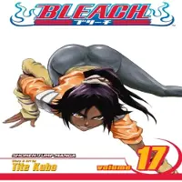 Kubo, Tite Bleach, Vol. 17