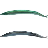 Berkley Alive Pehmeä Viehe 130 Mm