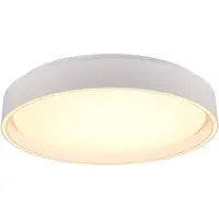 TRIO Felis LED kattovalaisin 40cm 2700-6500K 24W mattavalkoinen