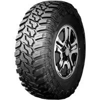 Antares DEEP DIGGER 305/70R16 118Q RP