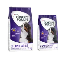 Concept for Life 2x12kg X-Large Adult koiran kuivaruoka