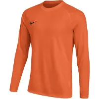 Nike Maalivahdin paita Dri-FIT Park VIII - Oranssi/Musta Pitkähihainen Lapset, koko XL: 158-170 cm