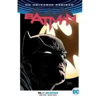 King, Tom Batman Vol. 1: I Am Gotham