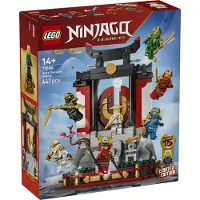 LEGO Ninjakarakterer – 15-Års Jubilæum 71866 - Multi/patterned - ONE SIZE