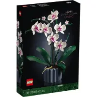 LEGO 10311 Icons - Orkidea
