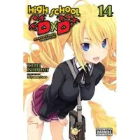 Little, Brown and Company High School DxD, Vol. 14 (light novel)