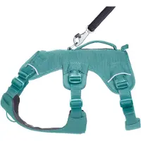 Ruffwear Web Master monikyttinen tuki koiran valjaat vaellus- ja polkujuoksupalvelu ja pivittiset tyvaatteet River Rock Green Small