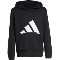 Adidas Essentials Big Logo Huppari