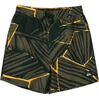 Quiksilver Everyday Printed Volley 14´´ Uimashortsit