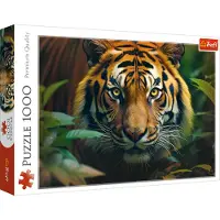 Trefl Tiger 1000p palapeli