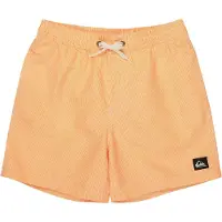 Quiksilver Everyday Deluxe Volley 14´´ Uimashortsit