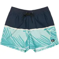 Quiksilver Everyday Poolsider 15 Surffishortsit dark navy panel nat geo Koko M