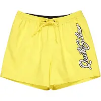 Quiksilver Everyday Malibu Volley 15 Surffishortsit acacia Koko M