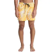 Quiksilver Everyday Printed Volley 15´´ Uimashortsit