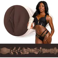 Fleshlight Nicole Kitt Purrrrrfection - masturbaattori - vagina