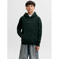 JACK&JONES JUNIOR Junior Collegepaita 'JJEStar' kuusi / valkoinen