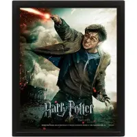 Harry Potter - Expelliarmus - 3D-kuva