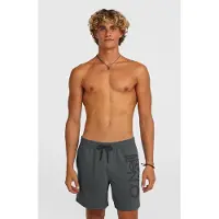 O'Neill Original Cali 16'' Surffishortsit harmaa, L